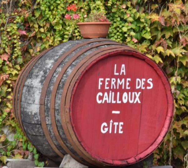 הוילה Sassay La Ferme Des Cailloux מראה חיצוני תמונה